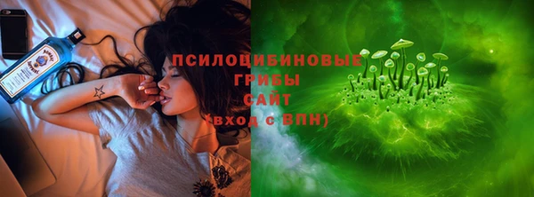 сатива Инсар