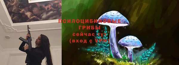 альфа пвп Каменск-Шахтинский